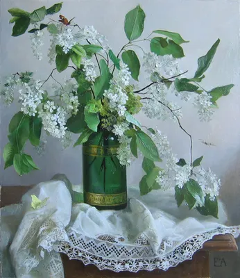 Черёмуха 80 х 60 х. м.