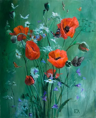 Маки в траве х.м.