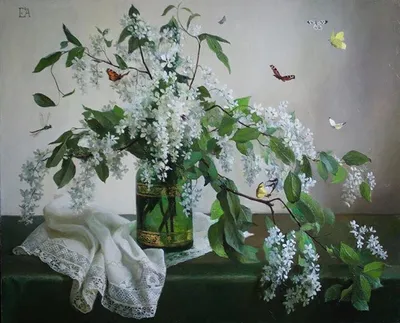 Белая черёмуха