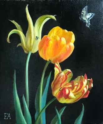 Tulips