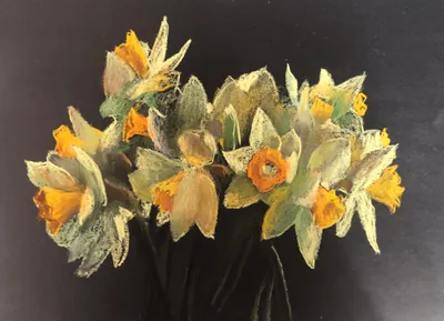 Daffodils