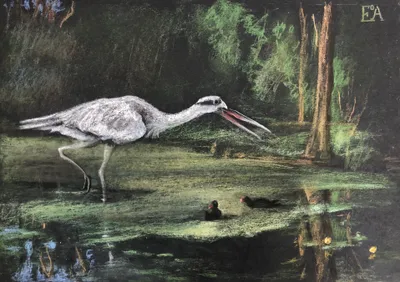Heron