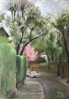 Blooming Street