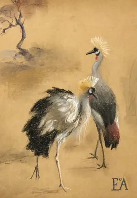 Crowned cranes
