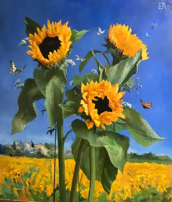 Sunflowers