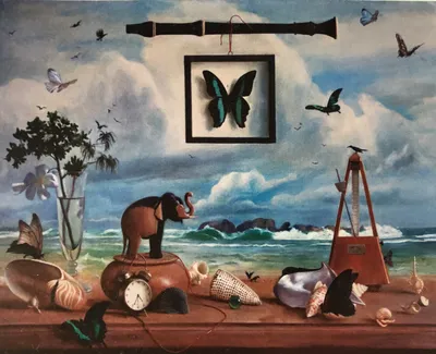 About elephants, crows and butterflies