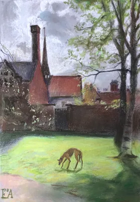 Dog on the lawn