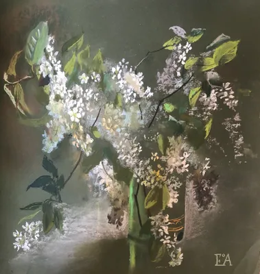 Bird cherry in a black square