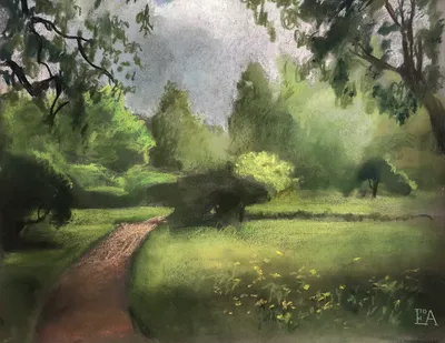 After the rain