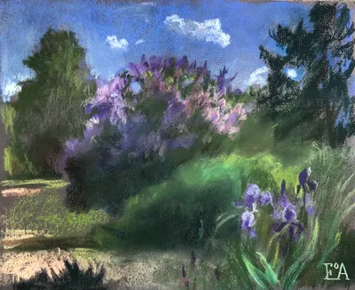 Lilacs and irises