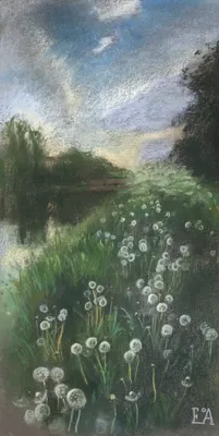Dandelion time