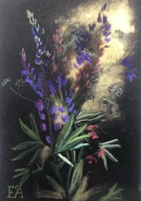 Lupines