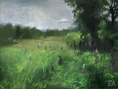 Green meadow