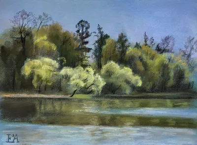 Kolonichka in spring