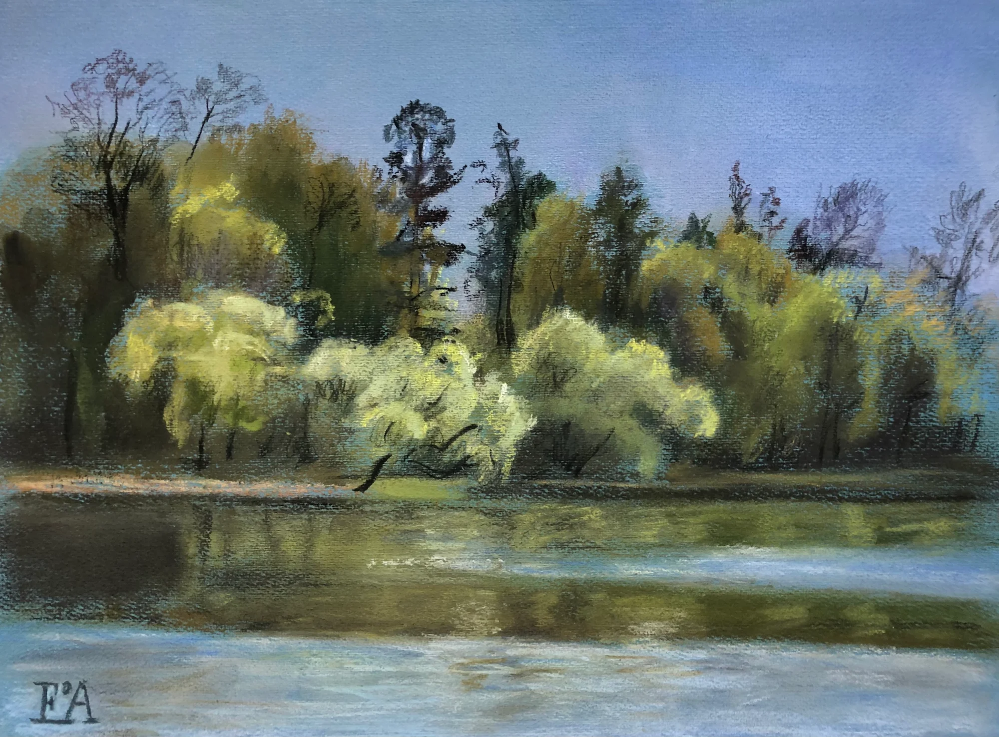 Kolonichka in spring