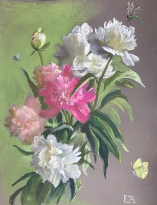 Seven peonies