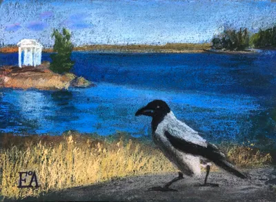 Crow
